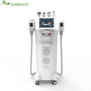 LB-C5 Cryolipolysis Slimming Machine